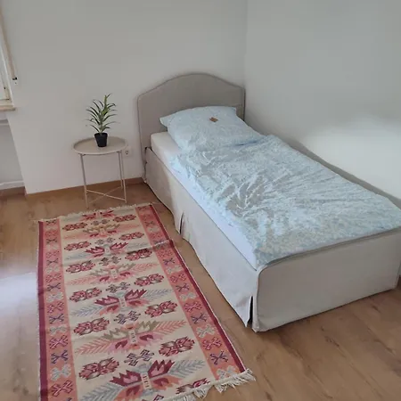 Spacious Kingsland Frankfurt Darmstadt Area Apartment