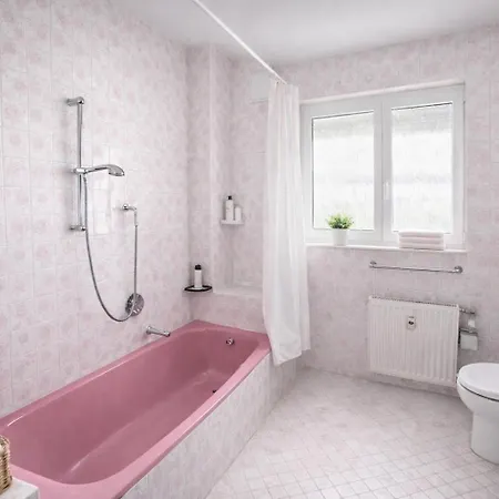 Spacious Kingsland Frankfurt Darmstadt Area Apartment *